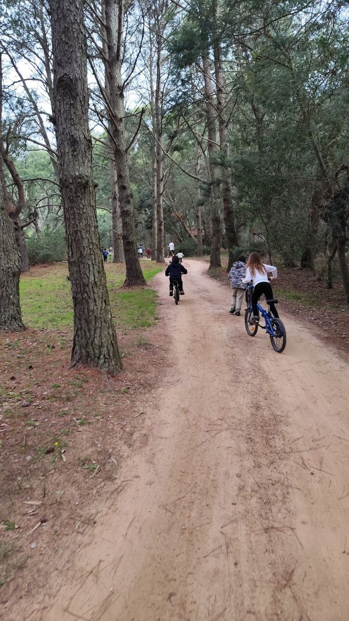 Selección de 8 fotos del encuentro del Día de la Bicicleta: ronda de preparación, recorrido, señalización, circulación en bicicleta, indicaciones de seguridad v