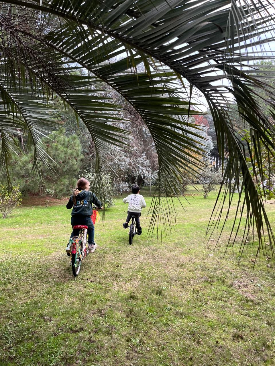 Selección de 8 fotos del encuentro del Día de la Bicicleta: ronda de preparación, recorrido, señalización, circulación en bicicleta, indicaciones de seguridad v