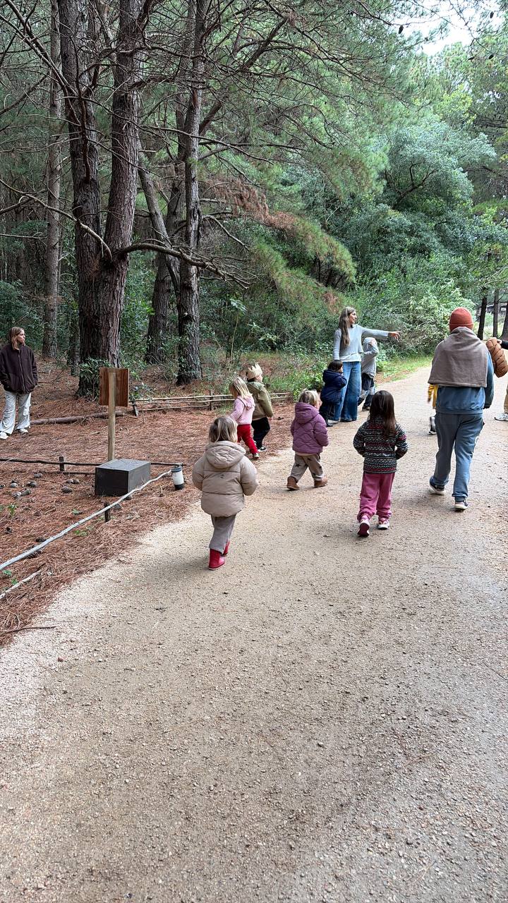 Caminata de cierre por el sendero del bosque