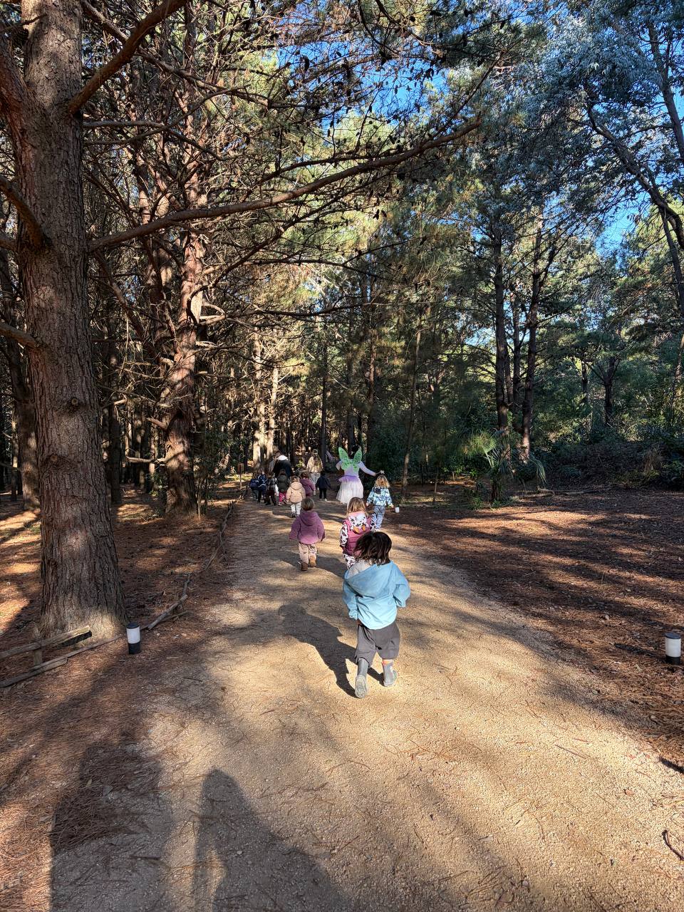 Ninos caminando por el sendero del bosque siguiendo a las hadas