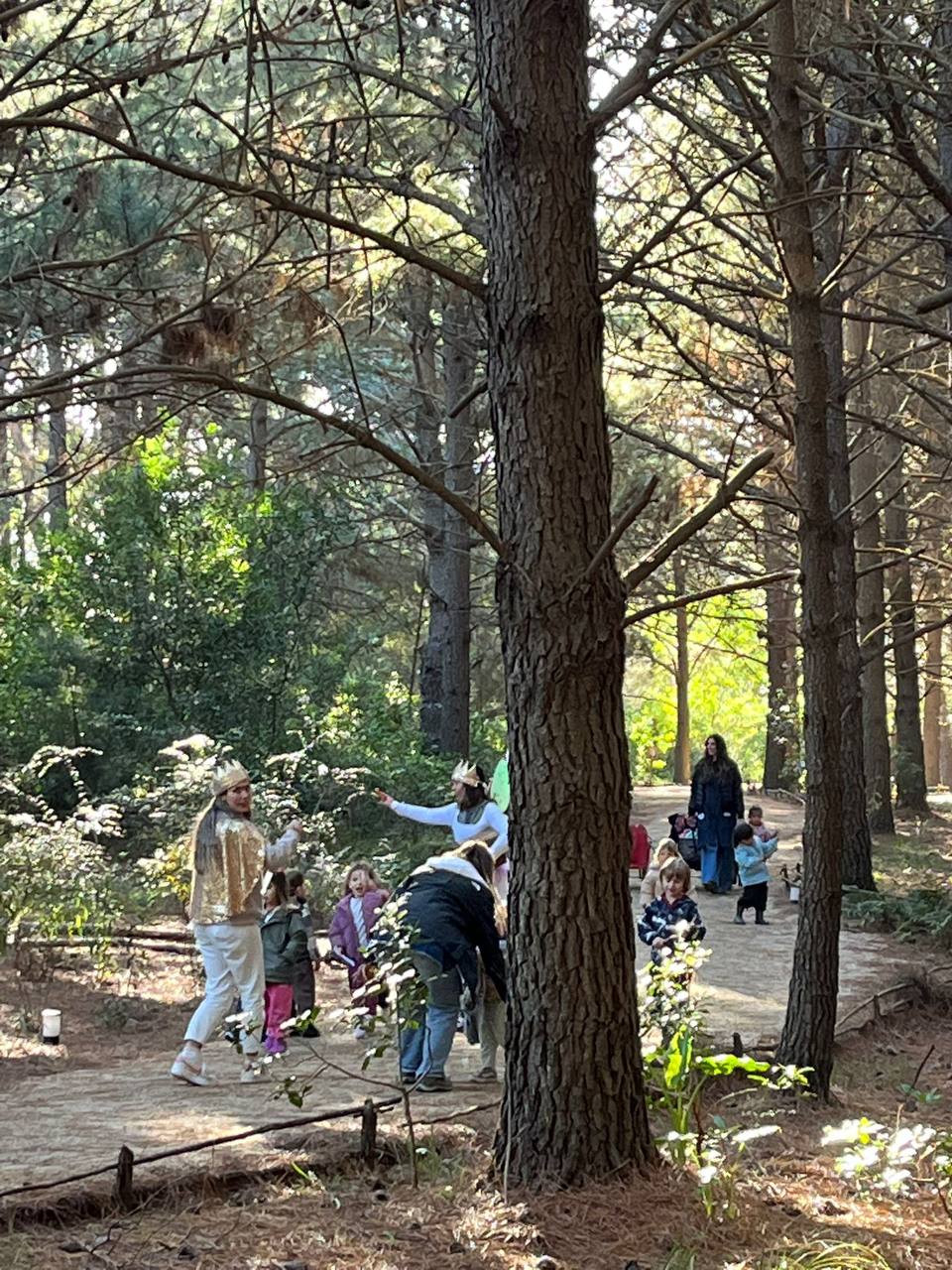 Hadas guiando a los ninos por el sendero entre los pinos
