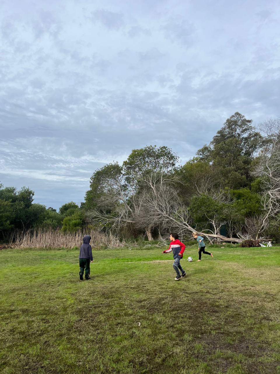 Juego colectivo con pelota en el espacio verde