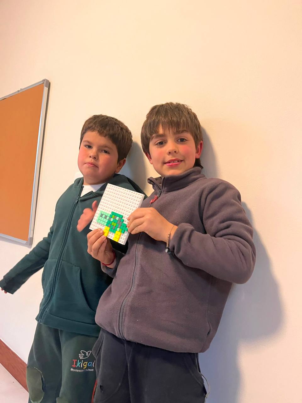 Registro de actividades de exploración sobre ecosistemas, seres vivos y naturaleza.