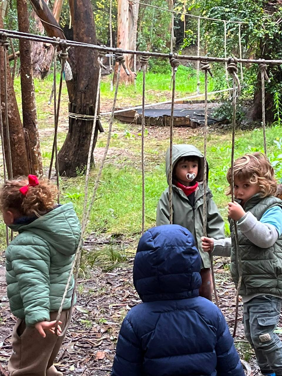 Niños reunidos en una actividad del bosque