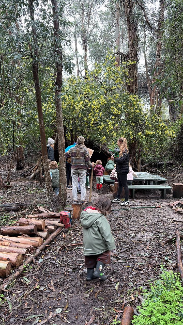 Niños recorriendo y descubriendo el bosque