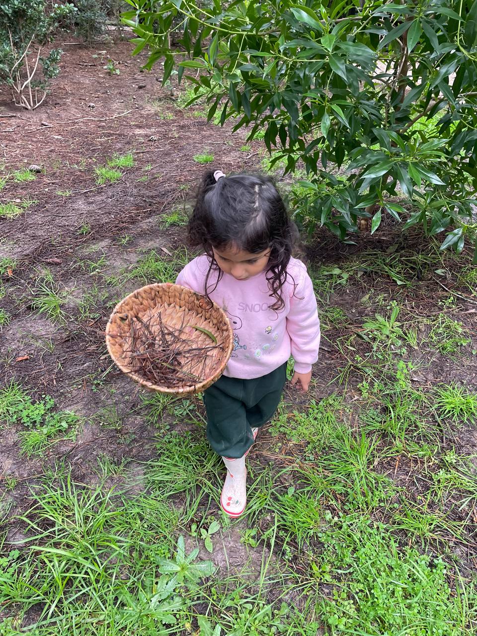 Exploración al aire libre, observación y recolección de elementos naturales, producción plástica con hojas y momentos de juego y movimiento.