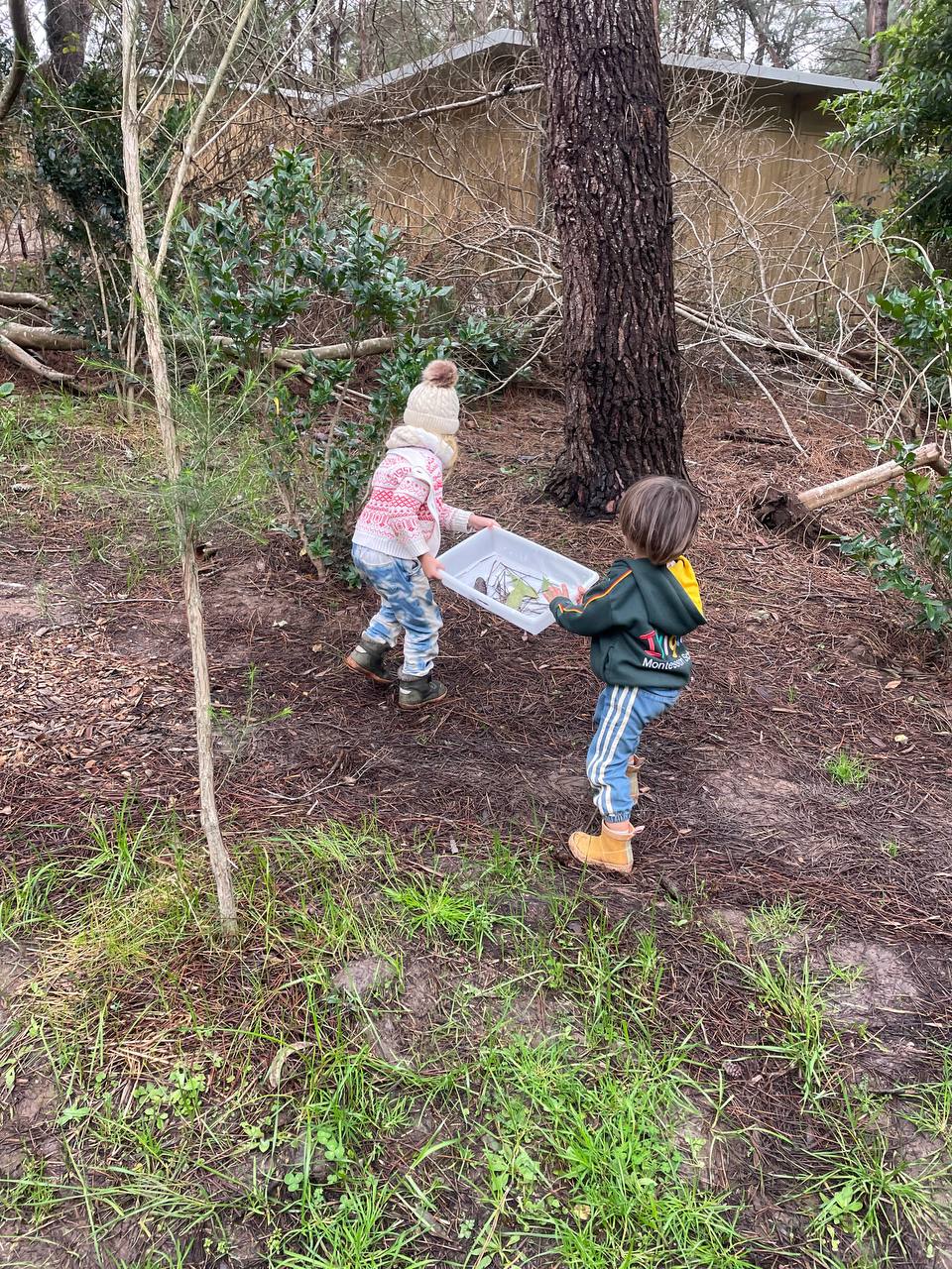 Exploración al aire libre, observación y recolección de elementos naturales, producción plástica con hojas y momentos de juego y movimiento.