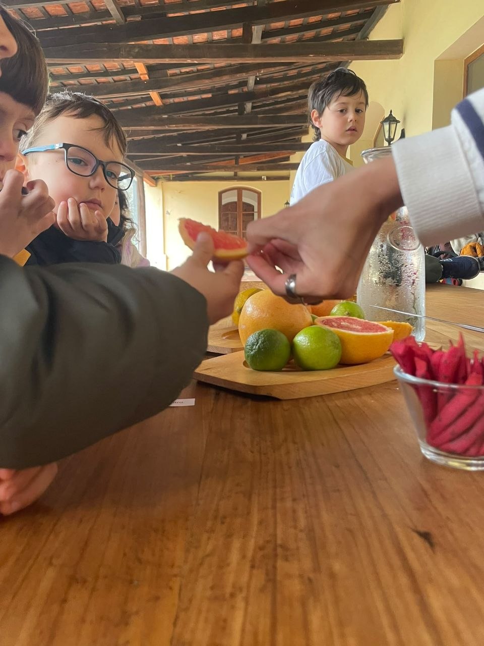 El grupo explora cítricos en la mesa junto a una guía: observa y prueba las frutas dispuestas para la experiencia.