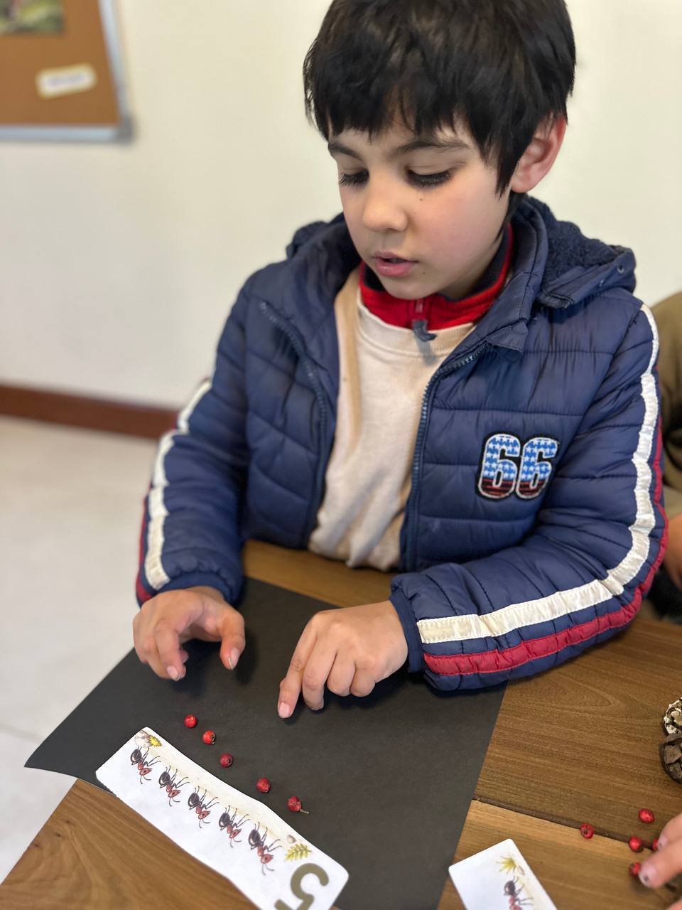 Fotos adicionales para newsletter semanal