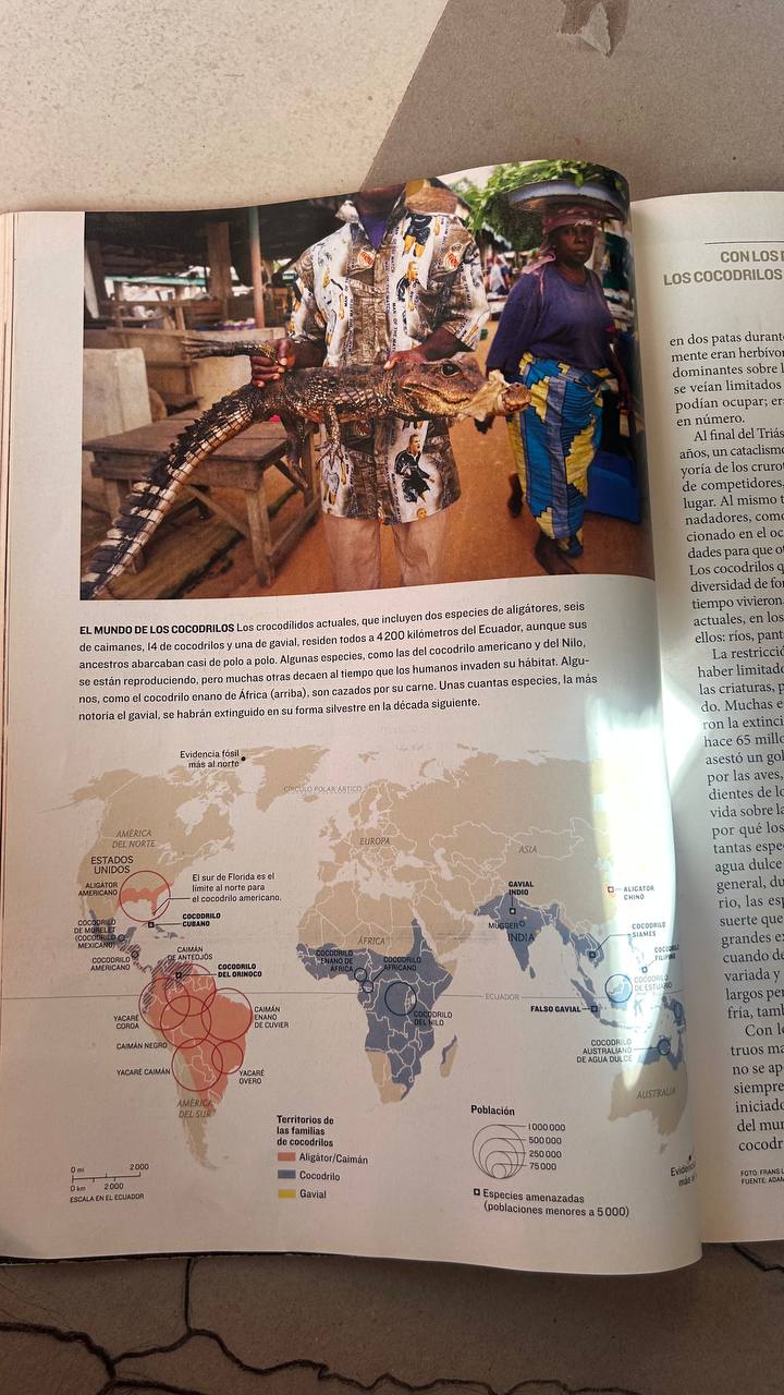 Registro visual de la investigación sobre países y continentes: búsqueda con libros y ChatGPT, elaboración de dibujos y mapas, y encuentro grupal al aire libre.