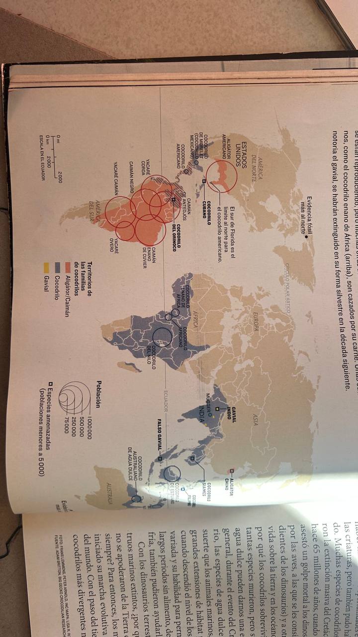 Registro visual de la investigación sobre países y continentes: búsqueda con libros y ChatGPT, elaboración de dibujos y mapas, y encuentro grupal al aire libre.