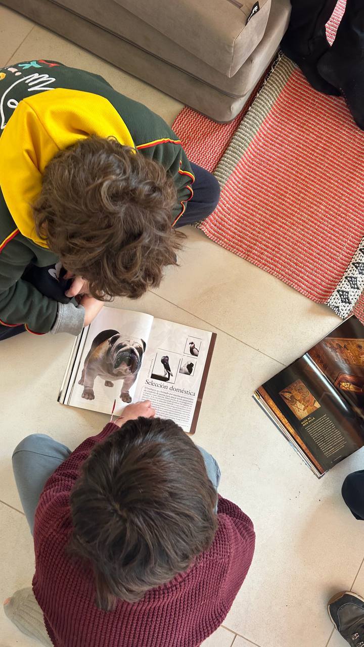Registro visual de la investigación sobre países y continentes: búsqueda con libros y ChatGPT, elaboración de dibujos y mapas, y encuentro grupal al aire libre.