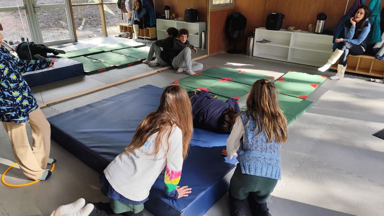 Registro visual de la sesión de gimnasia en sala: prácticas de roles, movimientos invertidos y desplazamientos sobre colchonetas.