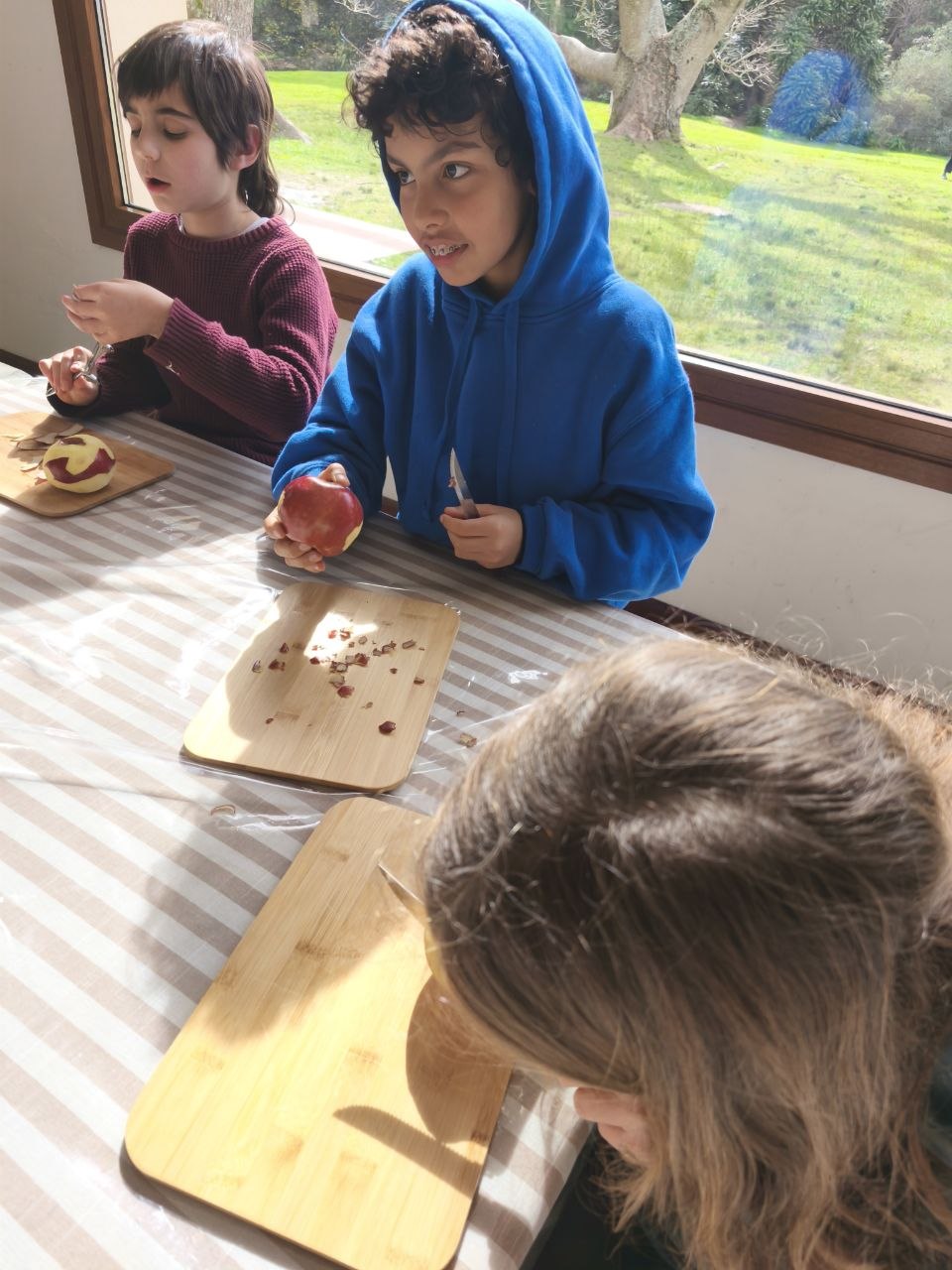 Registro fotográfico de la elaboración de mermelada de manzana y nueces.