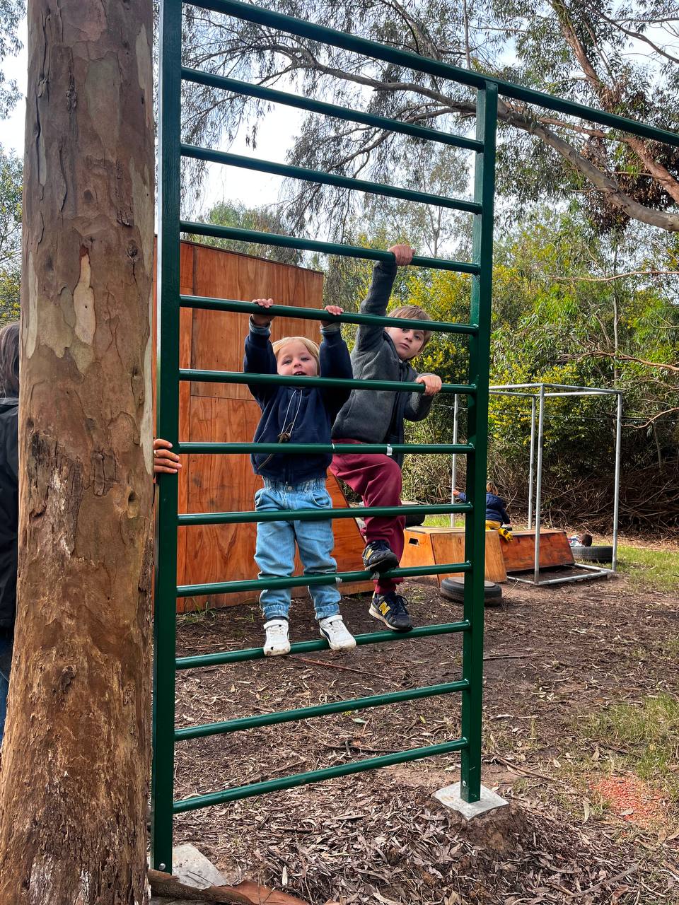 Niños observando un árbol