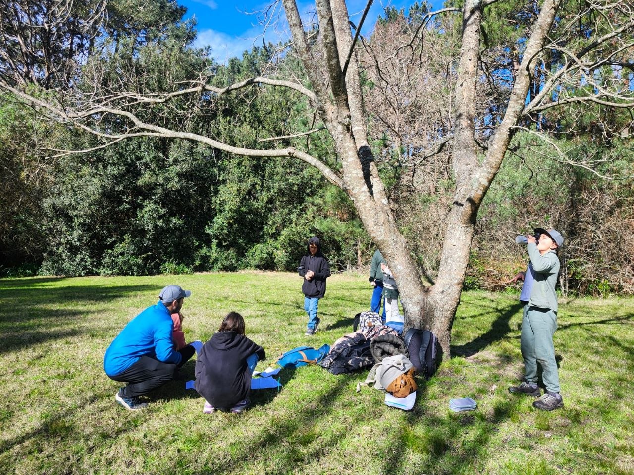 Exploración y registro dibujado de observaciones, momentos de juego y actividad con pelota.