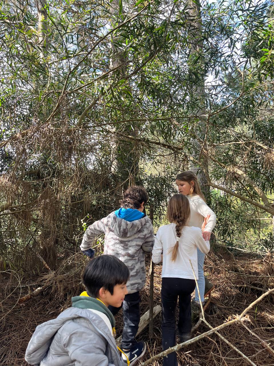 Registros del encuentro de exploración: reunión del grupo, uso de bastones y ronda compartida.