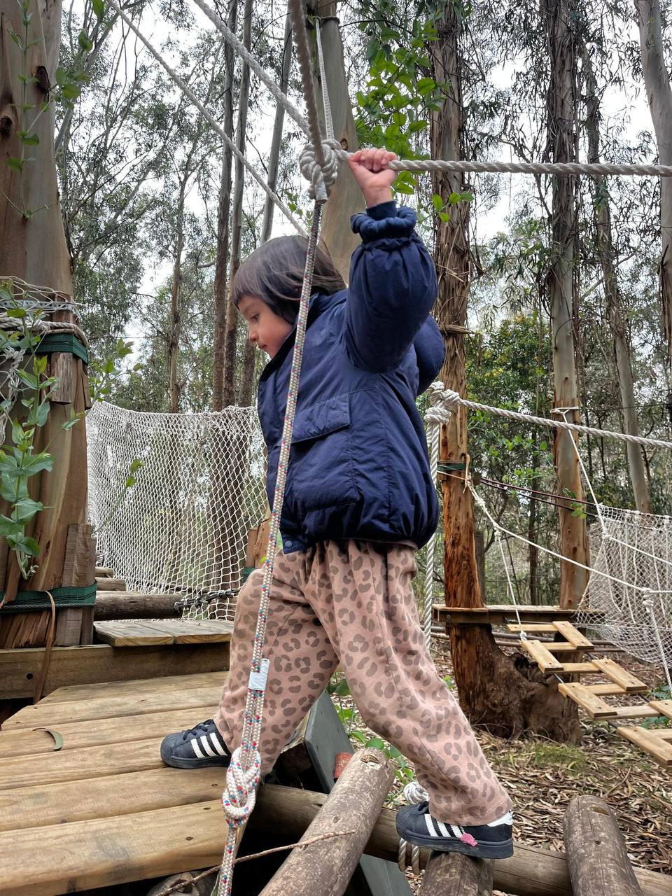 Ronda y juego en el bosque