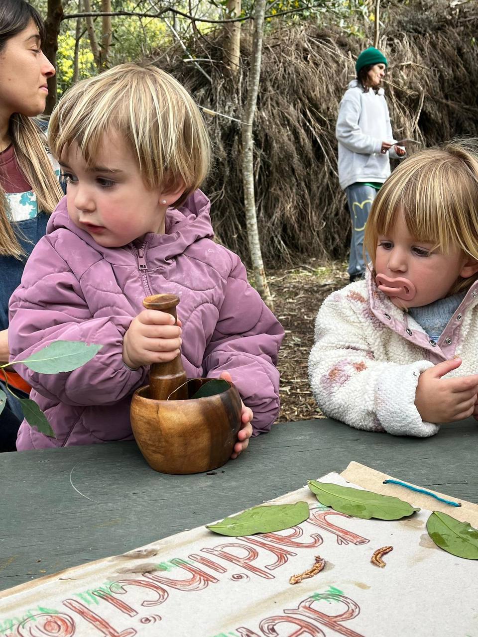 Descubrimiento con elementos naturales