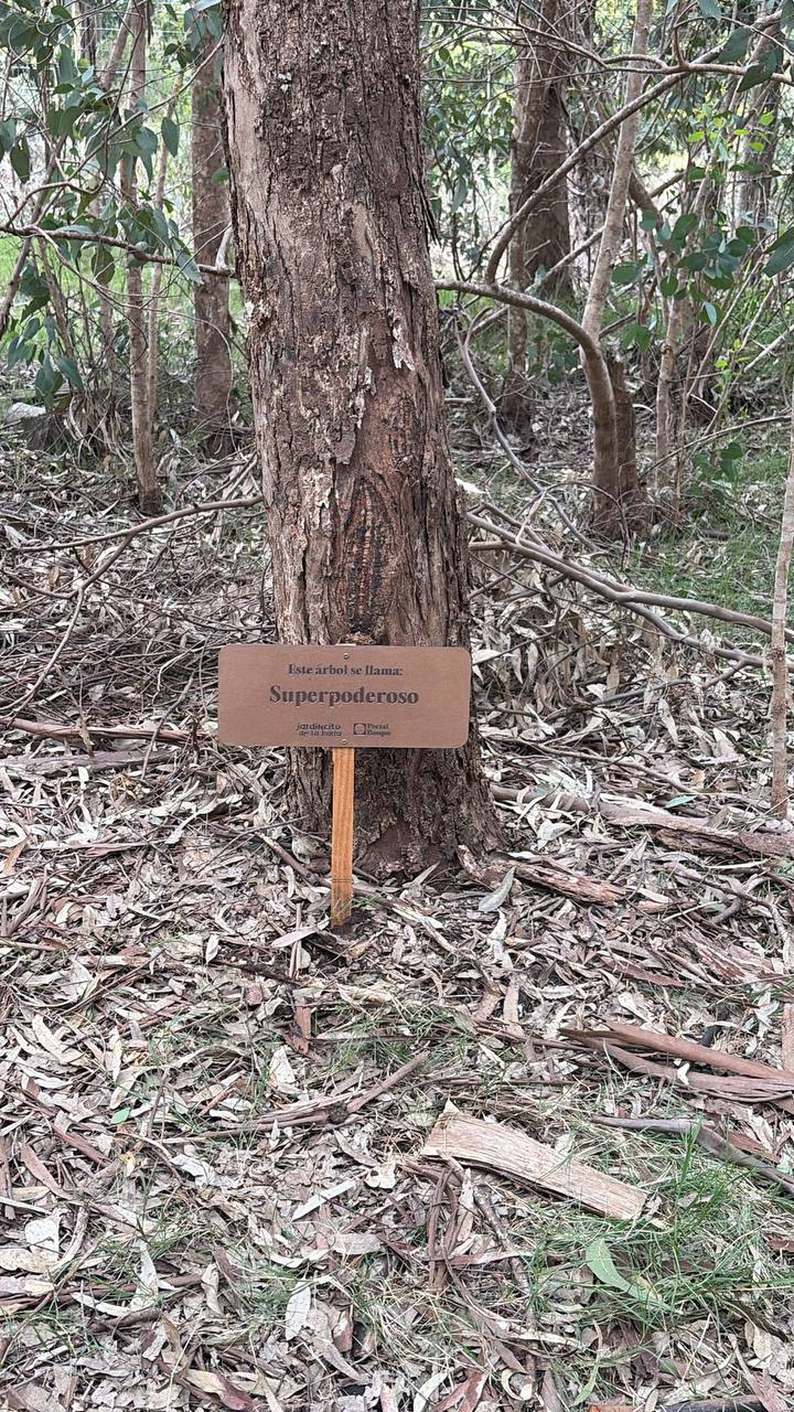 Cierre del encuentro en el bosque