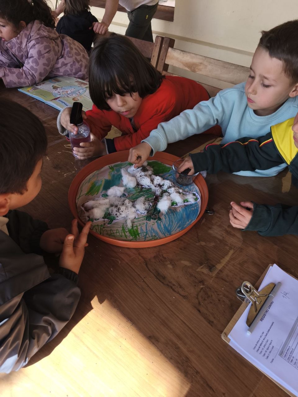 Registro del proyecto de brotes: semillas y algodón en las macetas-mapa.