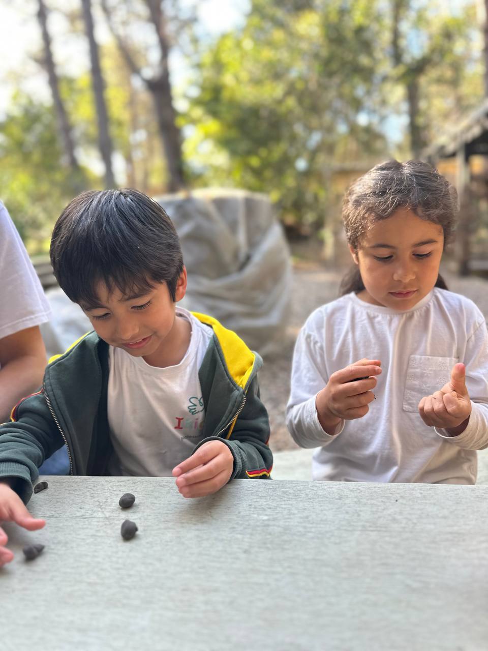 Los niños crean hormigas y hormigueros con arcilla, hojas, ramitas y otros elementos de la naturaleza para el libro colectivo.