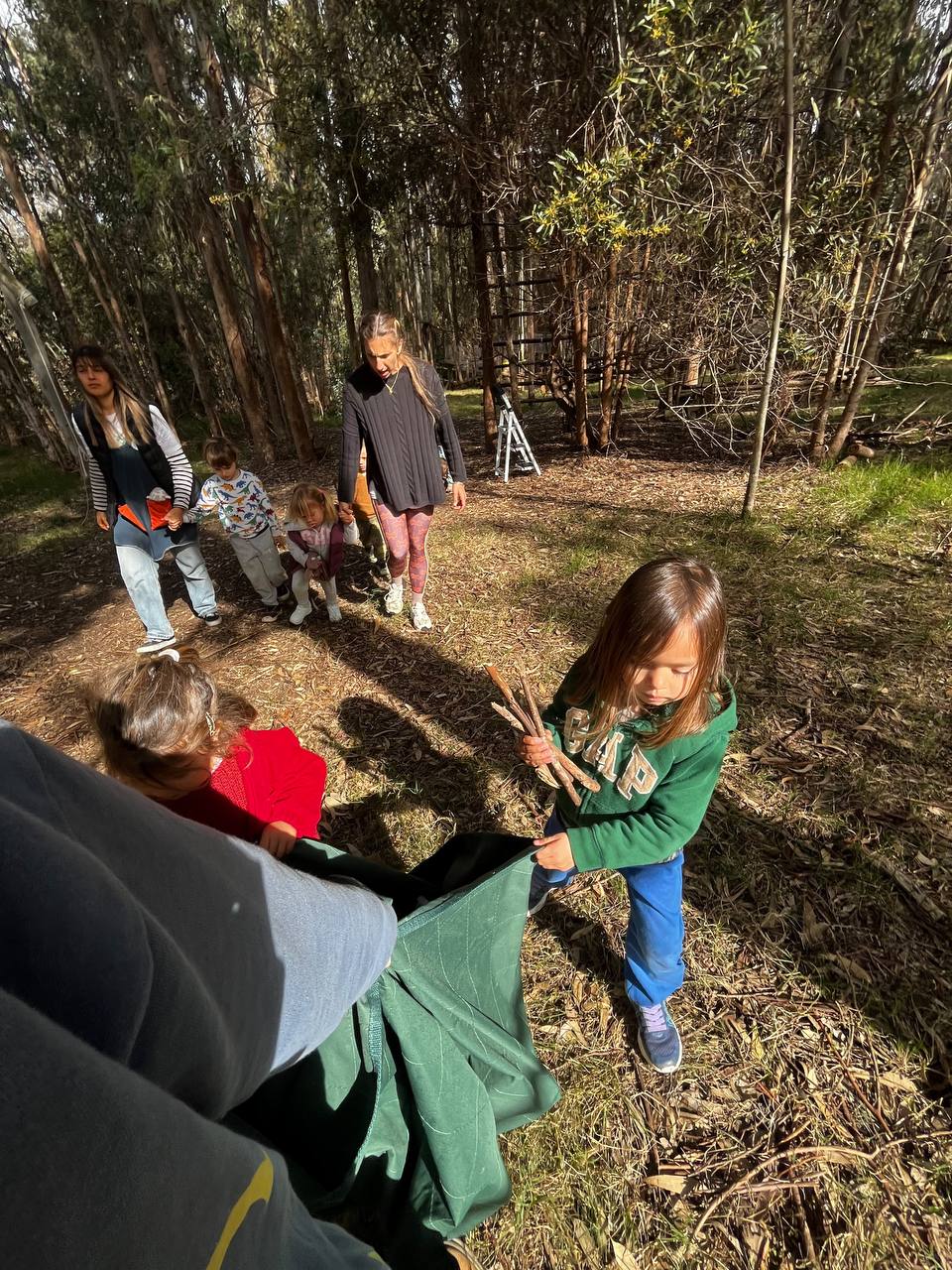 Niños recolectando palitos en el bosque