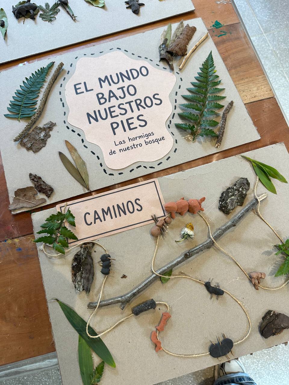 Últimos retoques al libro colectivo sobre las hormigas y encuentro con las ovejas durante el cierre del proyecto.