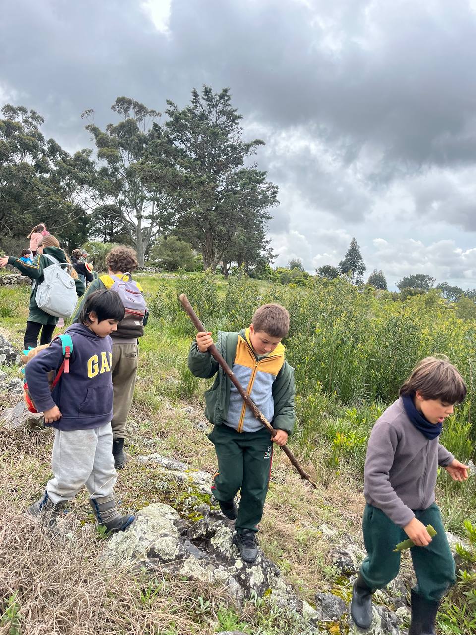 Fotos de la salida al Arboretum Lussich: exploración del entorno, observación de especies y paisaje, recorrido grupal y visita con el guardaparque.
