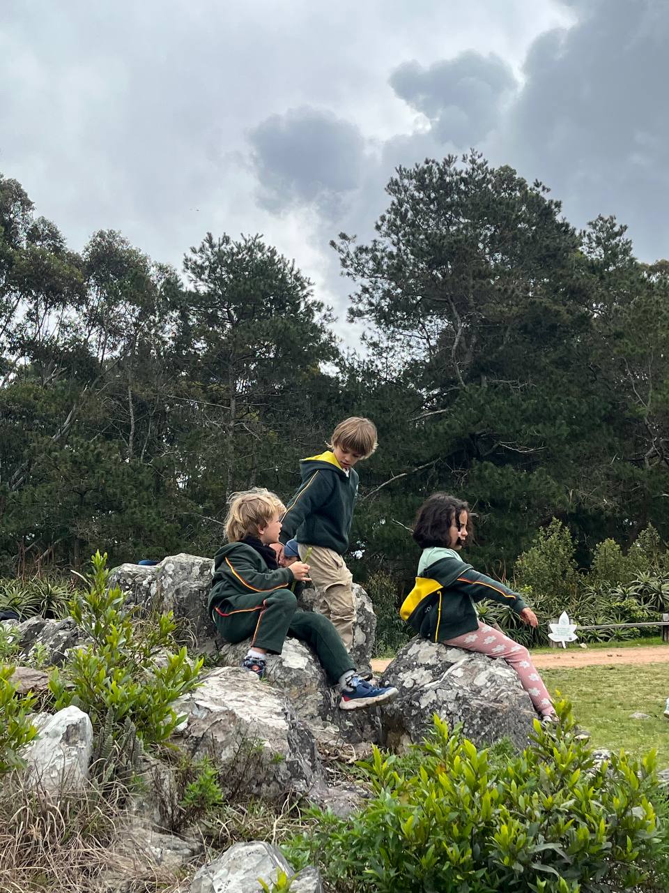 Fotos de la salida al Arboretum Lussich: exploración del entorno, observación de especies y paisaje, recorrido grupal y visita con el guardaparque.