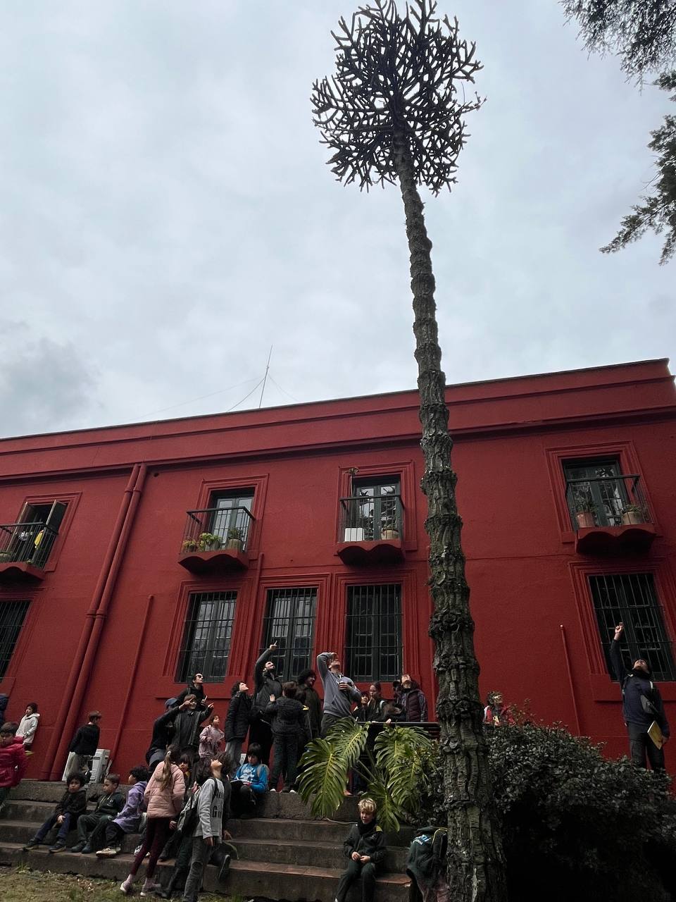 Fotos de la salida al Arboretum Lussich: exploración del entorno, observación de especies y paisaje, recorrido grupal y visita con el guardaparque.
