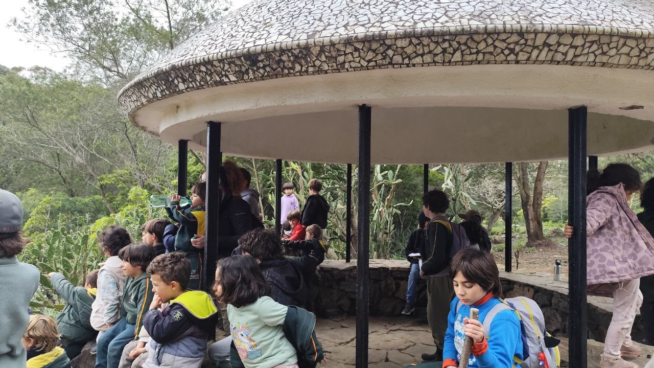 Las imágenes registran distintos momentos de la salida: el recorrido por los senderos, las instancias de escucha junto al guía, la observación atenta de plantas y árboles, y el uso de las fichas para anotar y dibujar los hallazgos. También muestran los espacios del arboretum, su diversidad de vegetación y los paisajes de Punta Ballena. A través de esta experiencia, el grupo pudo conocer el entorno, hacer preguntas y acercarse al cuidado de la flora y fauna del lugar.