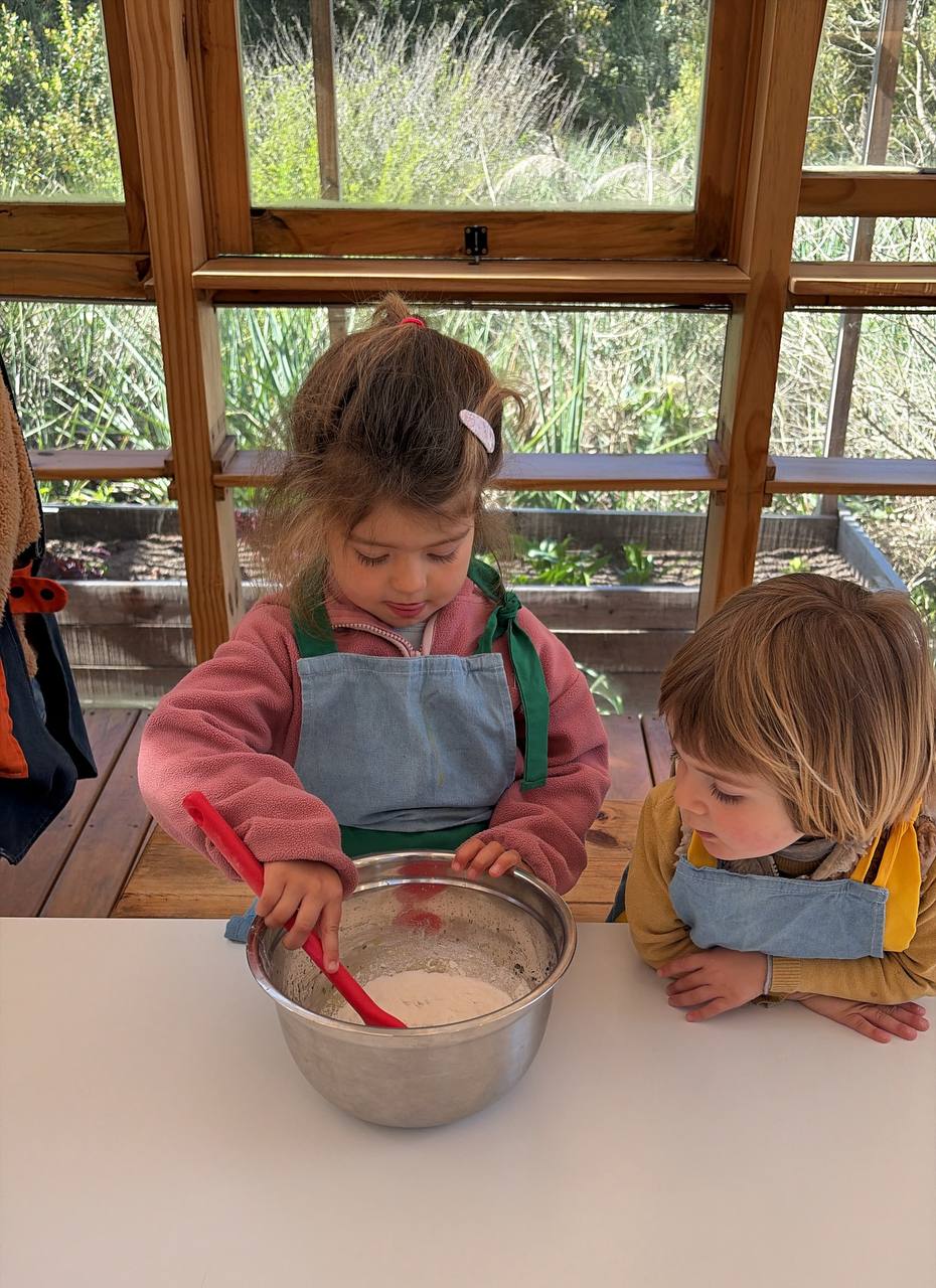 Niños y niñas recolectando elementos del bosque