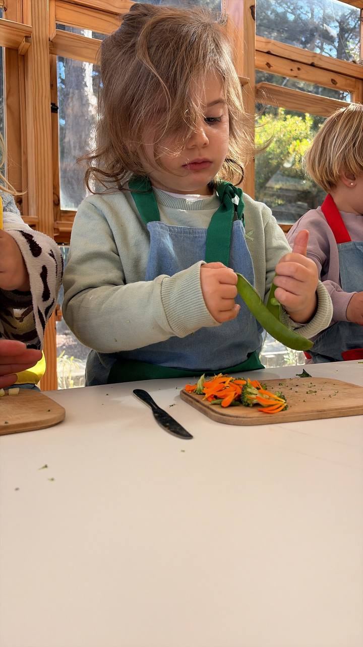 Exploración y creación al aire libre