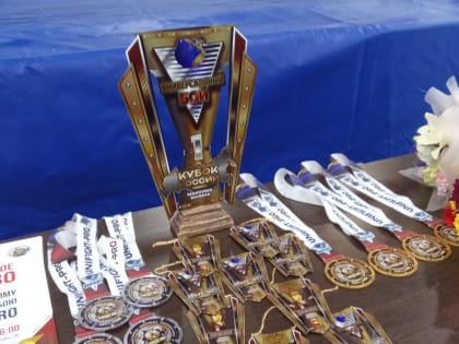 Открытие Международного турнира UNIFIGHT-PRO в Костроме