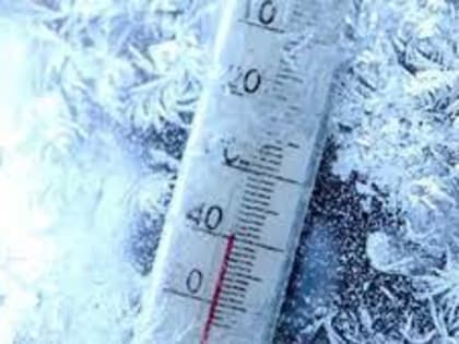 Занятия в школах сегодня переведены в дистанционный формат