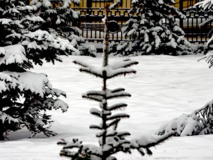 На Рождество в Челябинской области мороз усилится