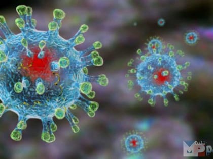 Семь вопросов о штамме «Кракен»: отвечает Роспотребнадзор