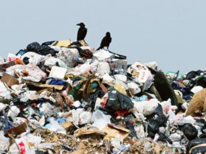 Жители Урала назвали главные экологические проблемы