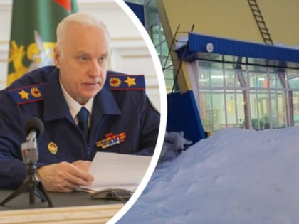 Глава СКР Бастрыкин взял на контроль дело о гибели подростка из-за схода снега