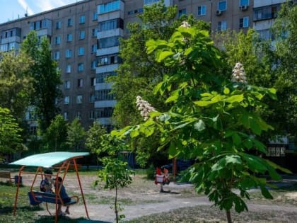 Алексей Текслер предложил расширить льготную ипотеку на вторичный рынок жилья