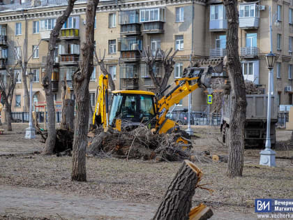 Власти Магнитогорска прокомментировали обрезку деревьев в сквере Металлургов