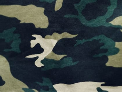 Новые законы: как изменились правила призыва в армию