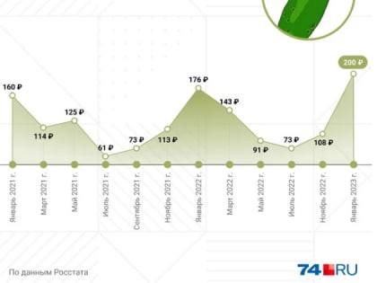 Позеленеть можно! Как менялась стоимость огурцов за последние два года