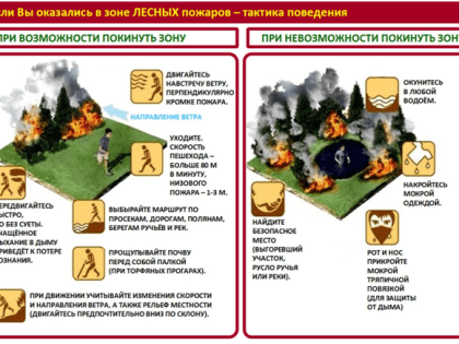 Правила поведения населения при обнаружении ландшафтных и лесных пожаров