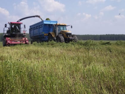 В Челябинской области начали заготовку кормов для животных
