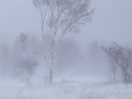 Сильные морозы на Урале сохранятся до 12 января – Гидрометцентр