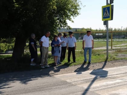 Партийцы Еманжелинского района провели мониторинг пешеходных переходов вблизи школ