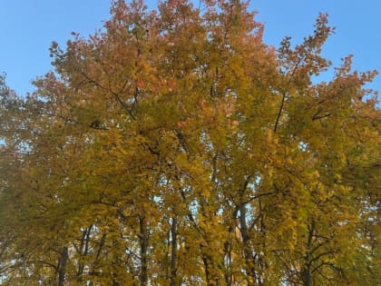 Погода в Магнитогорске на выходные: сухо и тихо