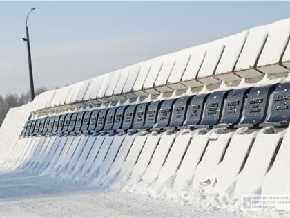Цветы к Вечному огню